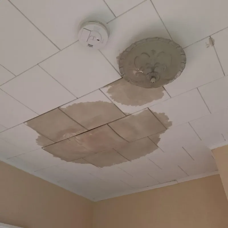 Ceiling Water Damage Repair in Emmet County, MI