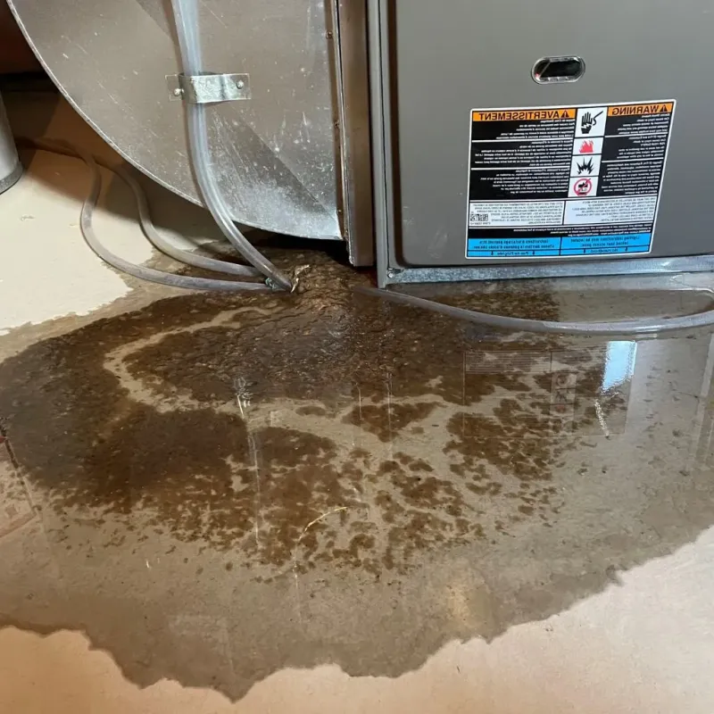 Pipe Burst and Leak Restoration in Emmet County, MI