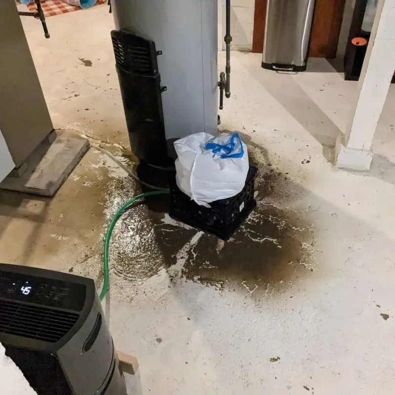 Sewage Backup Cleanup Service in Emmet County, MI